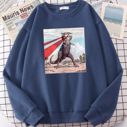 Dinosaur Cat Cartoon Hip Hop Print Hoody Women Crewneck Fashion Sweatshirts Fleece Pullover Hoodies Loose Aesthetic Hoody Female