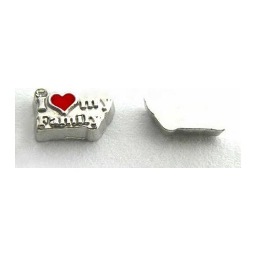Wholesale 20PCS/lot I Love My Family DIY Alloy Floating Locket Charms Fit For Magnetic Memory Locket Pendant