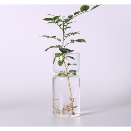 Hyacinth Home Decorative Vase Landscape Crystal Hydroponic Container