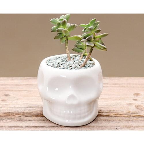 Ceramic Flower Pots Creative Succulent Flower Planter Eco-friendly Design Flower Pot Home