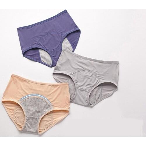 Large Size Menstruat Panties Women Mid Waist Mesh Breathable Briefs Prevent Side Leakage Lingerie Cotton Crotch Underwear Briefs