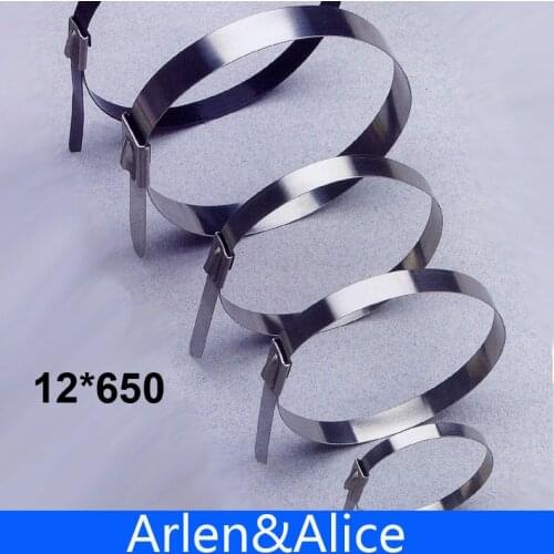 100pcs 12mmx650mm STAINLESS STEEL ZIP CABLE TIES LOCK TIE WRAP