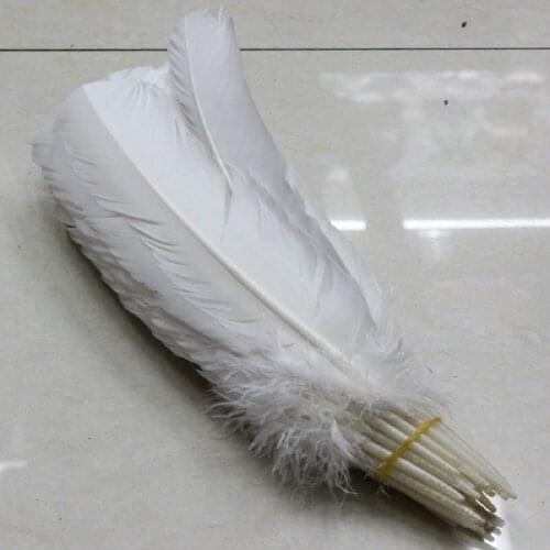 Free shipping 50pcs wholesale 25-30cm white color real natural turkey feathers plumes hair extensions goose feather for sale