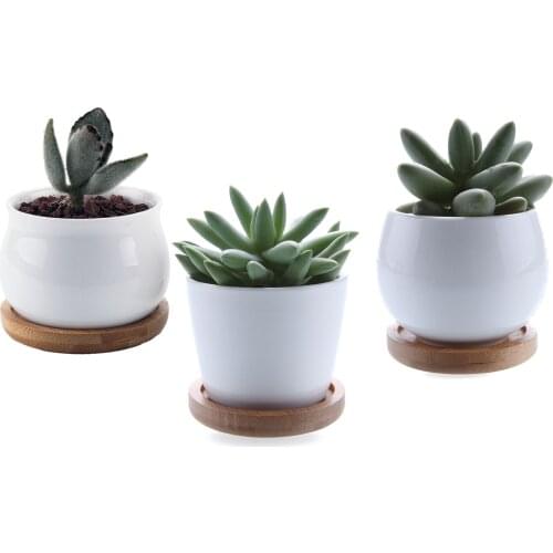 2.5/2.75/2.75 Inch Ceramic Collection Succulent Plant Cactus Plant Pot Flower Container/Planter Bamboo Trays 1 Pack of 3