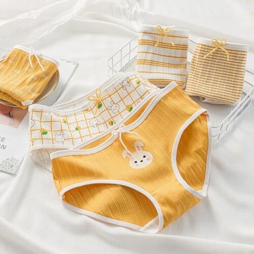 3Pcs Underwear Women Free Size Panties Girl Briefs Underwear Sexy Lingeries Cotton Shorts Underpants Solid Panty Cueca Intimates