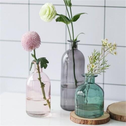 Glass Vase Mini Tabletop Home Decoration Dried Flowers Nordic Ins Style