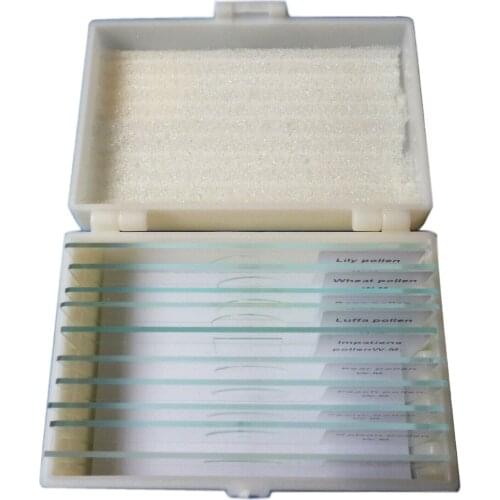 ONE Set 10Pcs Prepared Microscope Slides Choice of 10 Different Themes