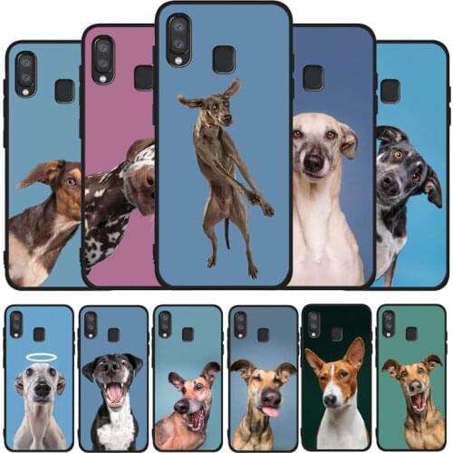 Cute funny dog Black Phone Case For Samsung Galaxy A71 A51 A41 A31 A20E A10 A20 A40 A50 A70 M30S M20 A7 A8 A9 2018