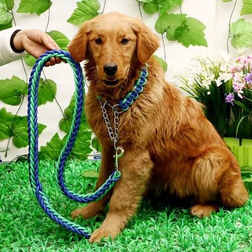Double Strand Rope Large Dog Leashes Metal P Chain Buckle Contrast Color Pet Traction Rope Collar Set For Big Dogs 1.2m Length