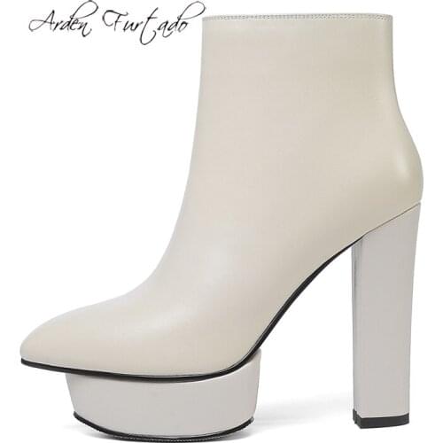 Arden Furtado Fashion Womens Shoes Winter Pointed Toe Chunky Heels Zipper Ladies genuine leather platform Boots matin boots new