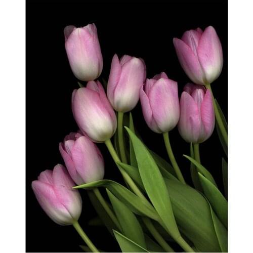 5D Diamond Embroidery Pink tulip Diy Diamond Painting Cross-stitch Mosaic full Square round Rhinestones flower