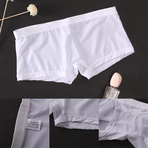 Male Mid-rise Mesh Slips Homme Panties Boxer Shorts M-2XL Men Sexy Seamless Underwear Pants Transparent Boxershorts