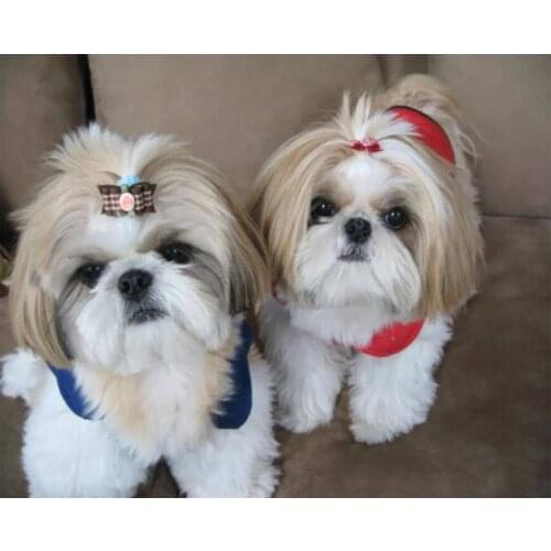 DIY Diamond Painting Gift Home Decoration Shih Tzu Dog Animal Cute Dog 5D Diamond Mosaic Painting Rhinestone Embroidery Diamond