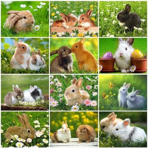 Diamond Painting Cute Rabbit Craft Kit 5D DIY Full Square And Round Diamond Embroidery Bunny Animal Mosaic Art Home Decor Gift