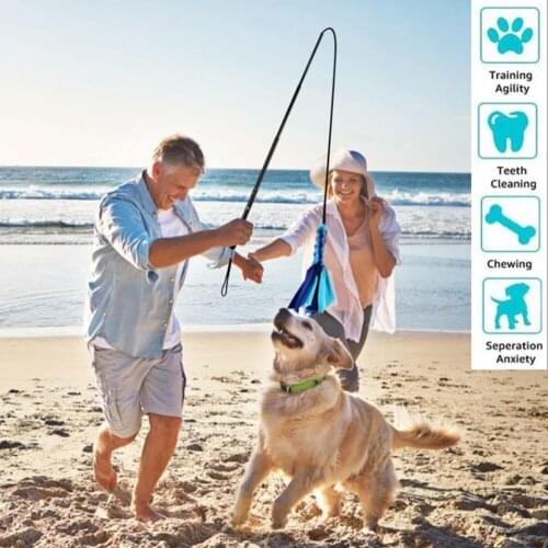 Teaser Lure Stick Dog Flirt Pole Outdoor Training Exerciser Interactive Toys Chasing Tail Portable Funny Non Slip Extendable