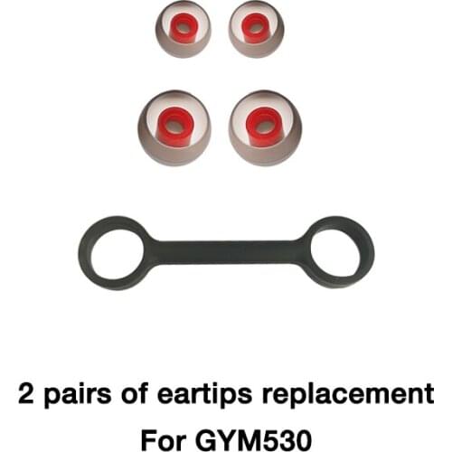 Earphone Accessories