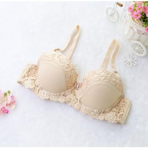Push Up Bra Sexy Embroidered Lace Bra Close Bra Rear Double Lacing
