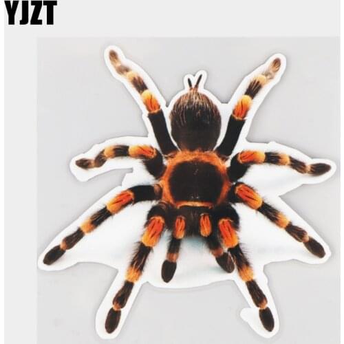 YJZT 15×14.8CM Mexican Red Knee Tarantula Window Windshield Decoration Animal Car Stickers 21A-0088