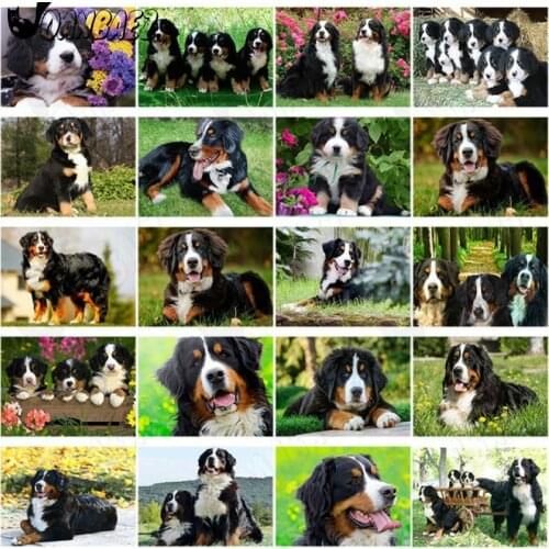 Animal Dog Diamond Painting 5D Diy Bernese Mountain Dog Cross Stitch Embroidery Digital Mosaic Hand Inlaid Crafts Home Decor