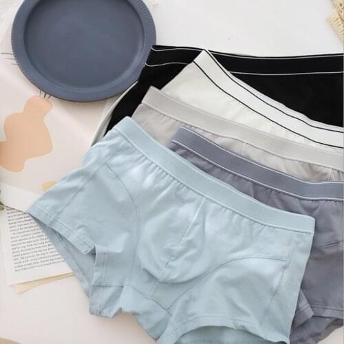 2021 New 5pcs/Lot Boxer Shorts Underpants man Mens Panties Men Boxer Underwear Cotton