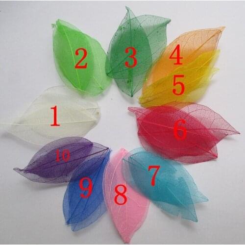 800pcs Multicolor optional Natural skeleton leaves for DIY Scrapbook wedding accessories 3-7cm 014005014