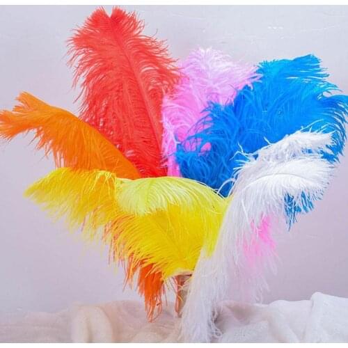 100pcs Ostrich Feather Ornament 15-20cm DIY Natural Home Wedding Party Decoration