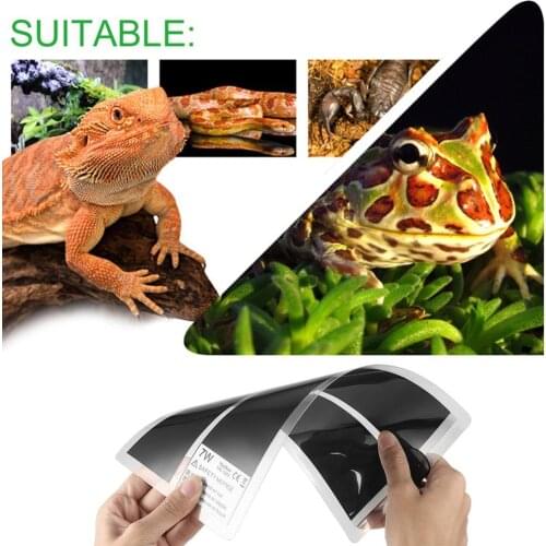 110V 7W Pets Rapid Heating Sheet Reptile Crawler Waterproof Temperature Heating Pad Warmer Mat with Temperature Controller