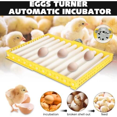 220V 470X385mm Multi EggsTurner Incubator Durable Rotary Automatic Roller Pattern Eggs Tray Home Incubation Accessory