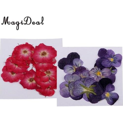 22pcs Natural Real Rose Flower Violet Dried Pressed Flowers for Scrapbooking Crafts