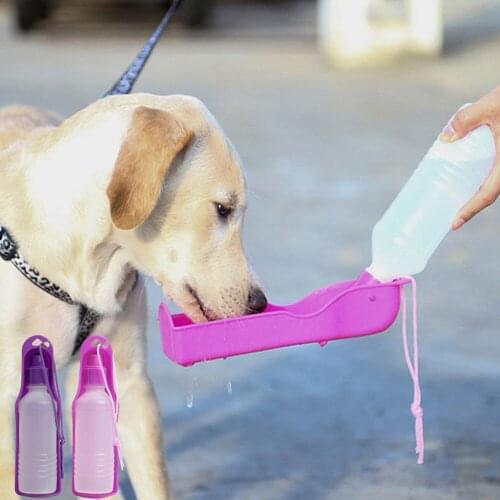 1PC 250ML Pet Dog Cat Portable Plastic Feeding Bowl Travel Water Bottle Dispenser Feeder 4 Colors For Dog Travel Colorful 1085gC