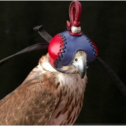 Falconry Eagle Screaming Hood Falcon Hat Cowhide Eagle Eye Mask Protector Helmet Dutch Eagle Pedal Falco Eurasian Goshawk Saker