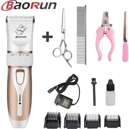 Professional Pet Cat Dog Hair Trimmer Dog Grooming Kit Rechargeable Electrical Clipper Shaver Pet Fur Nail Accessories BaoRun P3