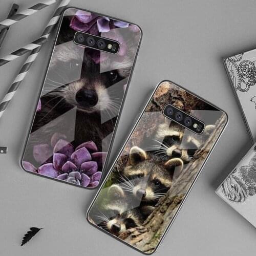 Animal Raccoon Phone Case Tempered Glass For Samsung S20 Plus S7 S8 S9 S10 Plus Note 8 9 10 Plus