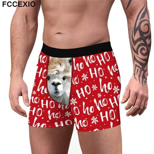 FCCEXIO Men's Cotton Briefs