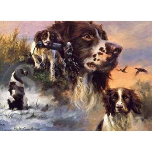 Full Drill Square/Round 5D DIY Diamond Painting Border Collier Mosaic Diamond Embroidery Cross Stitch Kits Rhinestones