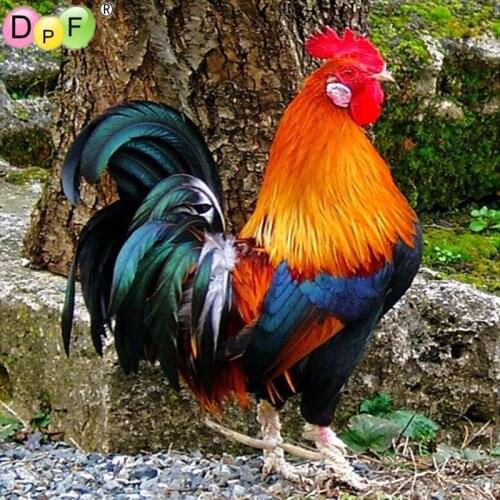 DPF Full Square Diamond Painting Big Cock diamond Embroidery Cross Stitch Rhinestone Mosaic Painting Home Decor Gift animal
