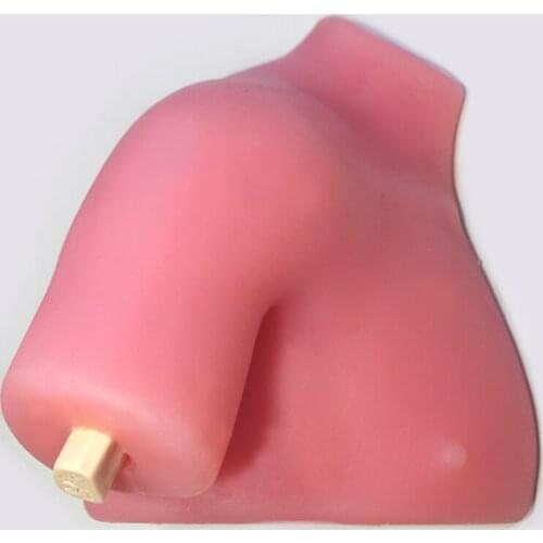 Shoulder arthroscopy training model shoulder joint silicone anatomical model
