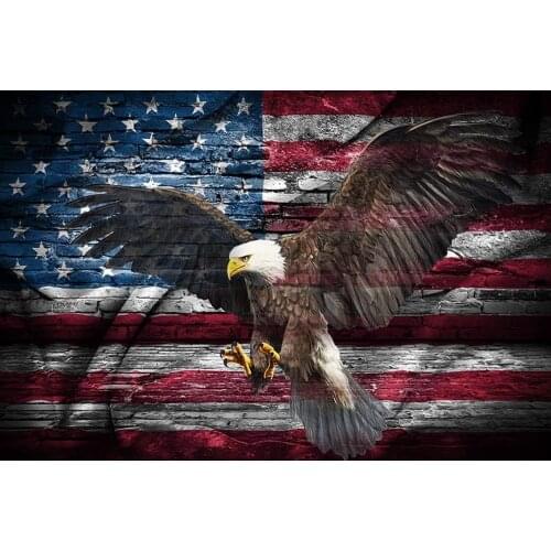 JMINE Div 5D eagle american flag Full Diamond Painting cross stitch kits art High Quality Animal 3D paint by diamonds