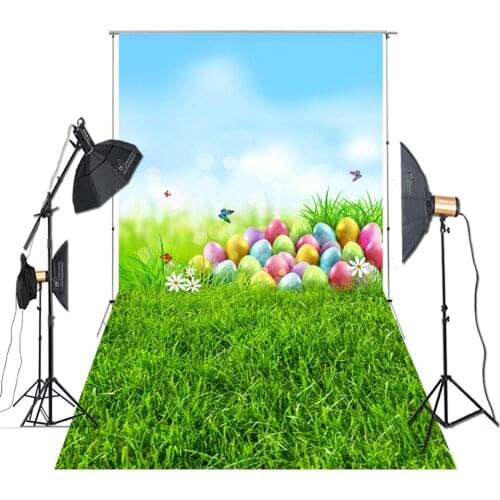 HUAYI Photography Backdrop Easter Decoration Butterfly Painted Eggshell Flower Grassland Sunny Bankground for Studio XT-7065