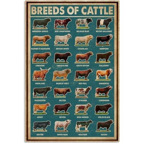 Modern Retro Metal Breed of Cattle Tin Sign ! for Shop/Garage/Bar/Club/Cafe/Wall Decor, 8X12 inches