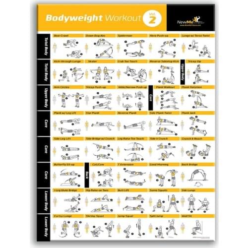 Exercise Ball Poster Laminated Dumbbell Worksouts Volume Personal Fitness Planners Program Swiss Yoga Balance Stability Ball