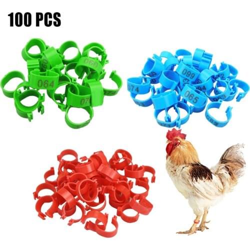 100 Pcs Chicken Leg Bands 20 Mm Chicken Poultry Rings 3 Colors Pigeon Geese Quail Bird Ring Carry Tools Feeding Number Tag