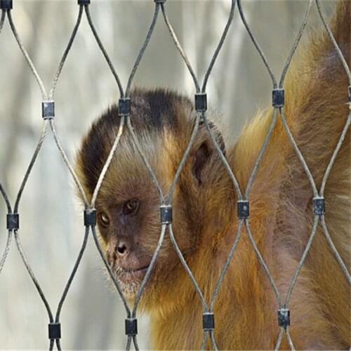Enclosure Animal Metal 316 stainless steel wire rope mesh zoo mesh/cable webnet