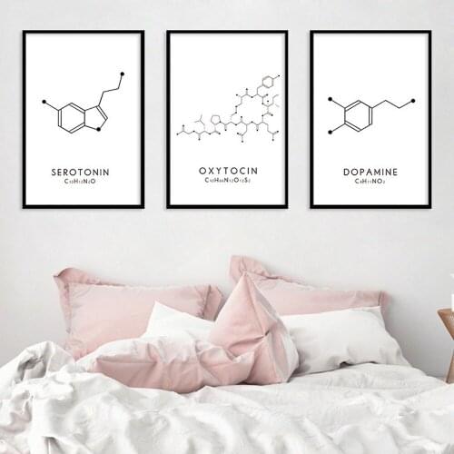 Creative Chemical Molecular Structure Canvas Painting DOPAMINE OXYTOCIN SEROTONIN Living Room Simple Black White Decor Pictures