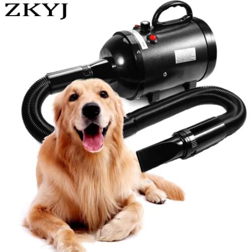 2600W Power Hair Dryer For Dogs Pet Cat Dog Grooming Blower Warm Wind Secador Fast Blow-Dryer For Small Medium Large Dog Dryer