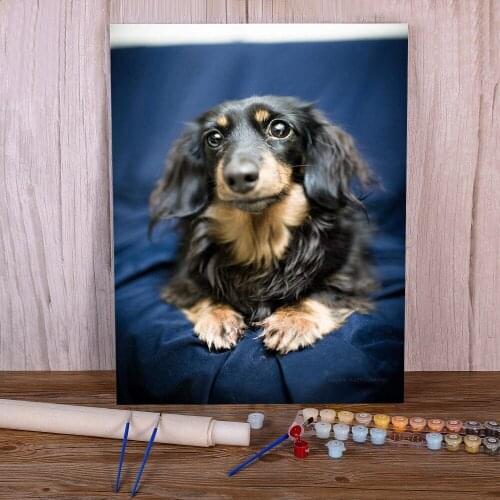 Animal Dog Dachshund Painting By Numbers Package Acrylic Paints 40*50 Painting On Canvas Home Decoration For Kids Handicraft