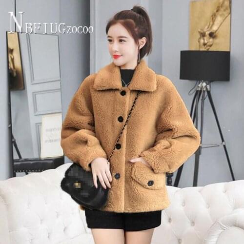2020 Autumn Winter New Imitation Lambswool Women Coat Thick Warm Loose Short Style Female Jacket