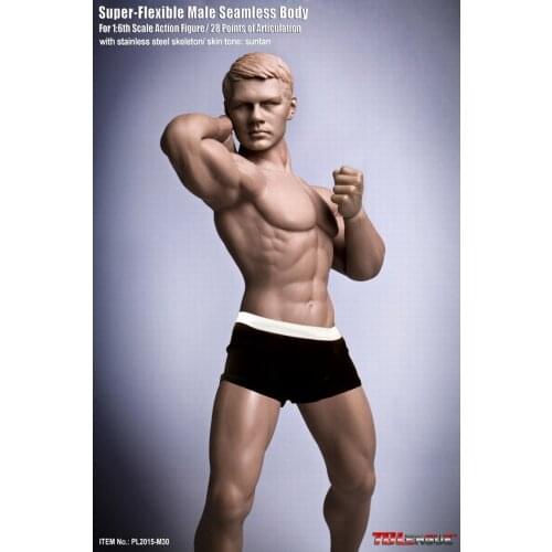 TBLeague PL2015-M30 1/6 Scale Male Seamless Body with Metal Skeleton ( without head )