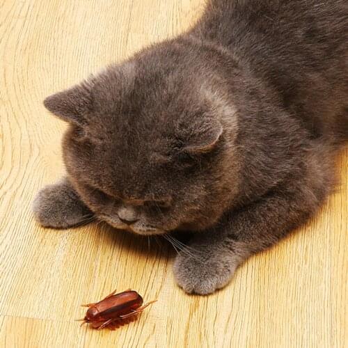 Battery Powered Mouse Shape Toy for Cats, Mouse Fun Cat Toy, Mouse Toy