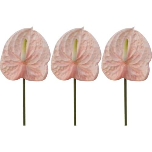 3PCS Long Stem Simulation Flower Natural Fresh Artificial Flower Fake Flowers Home Desktop Display Flowers Pot Decoration